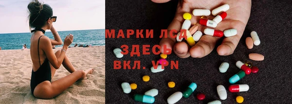 прущие крисы Аркадак