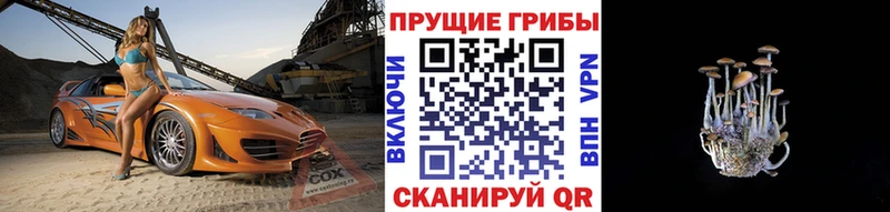 MEGA как зайти  Бронницы  Галлюциногенные грибы Cubensis 